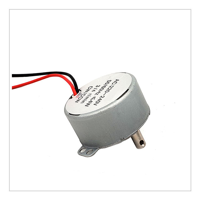 Grill Motor